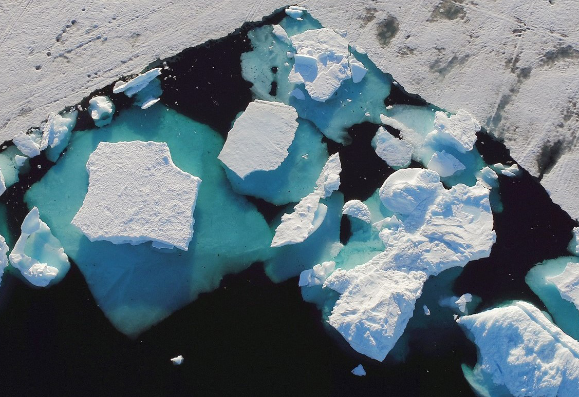 Iceberg Printable
